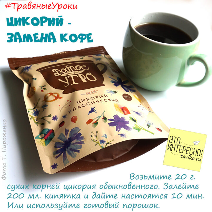 как сделать кофе из цикория