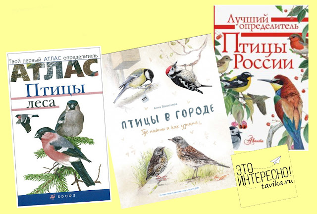 список книг о птицах для детей