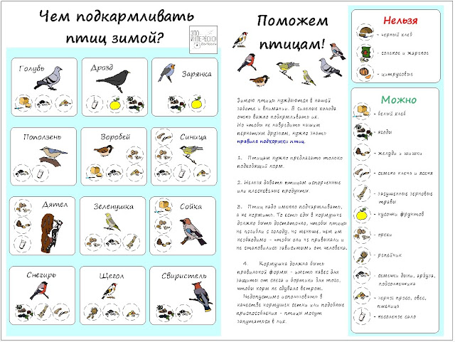 Обучающий плакат для детей про птиц зимой