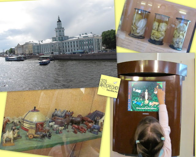 Семейная поездка в Петербург