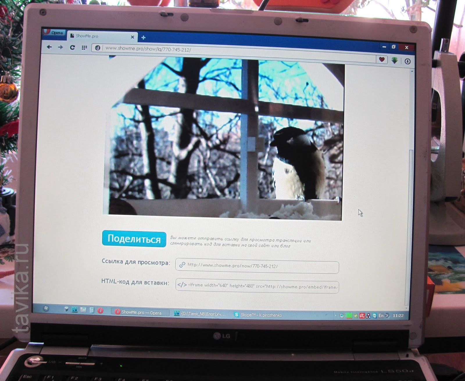 наблюдение за птицами на кормушке с помощью вебкамеры