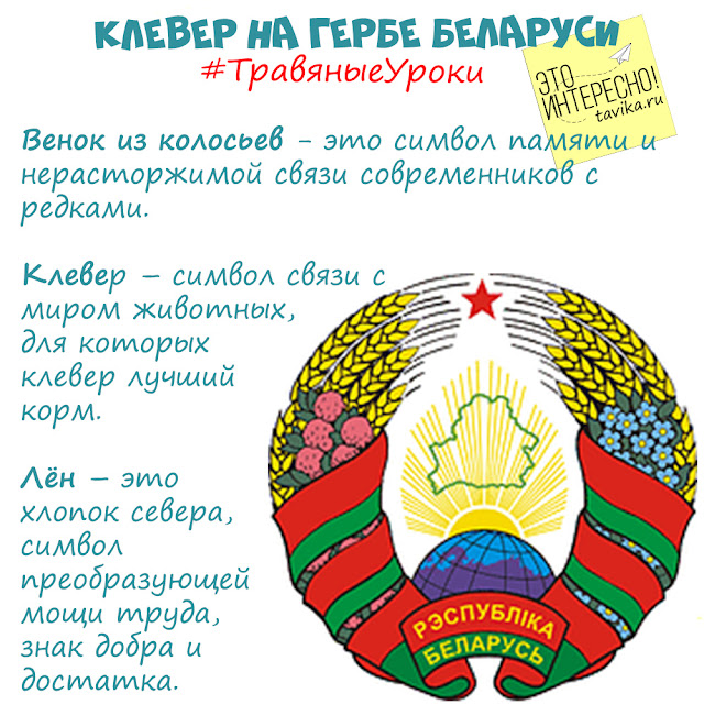 клевер на гербе Беларуси