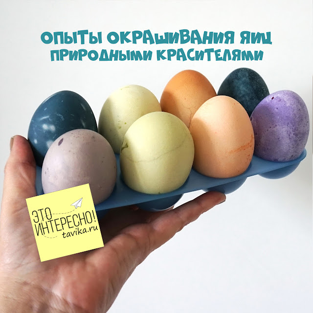 химические опыты с пасхальными яйцами