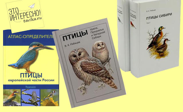 книги для изучения птиц