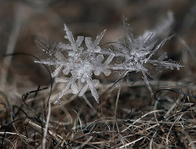 снежинка snowcrystals