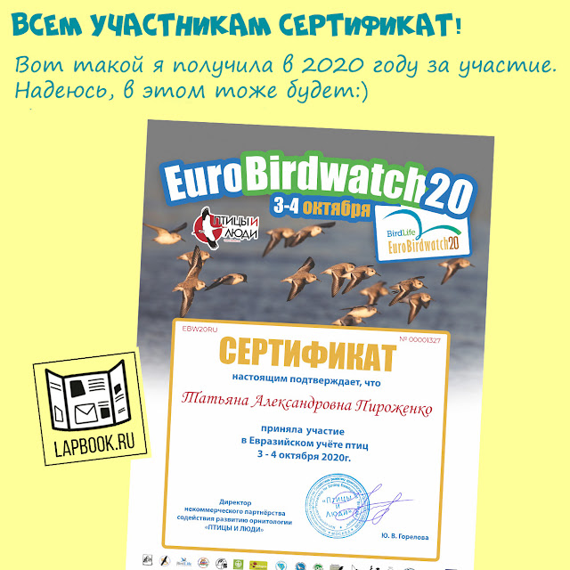 Сертификаты за учет птиц Евробердвотч