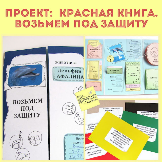 Проект “Красная книга. Возьмем под защиту” 2 класс