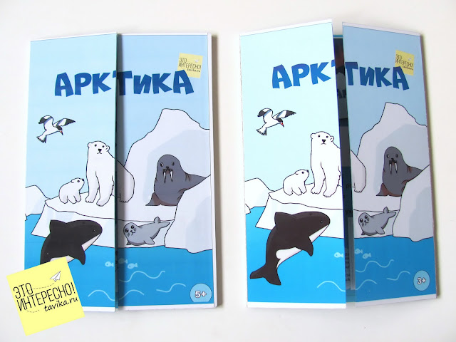 тематическая папка  Арктика и Северный полюс. Файлы для распечатки