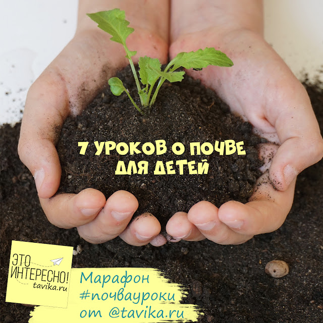 Изучаем почву! 7 познавательных уроков для детей