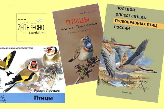 нон-фикшн литература про птиц