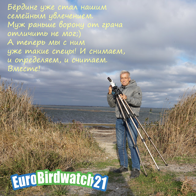 Евразийский учет птиц Eurobirdwatch 2021