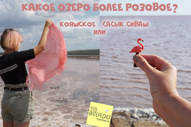 розовое озеро в Крыму
