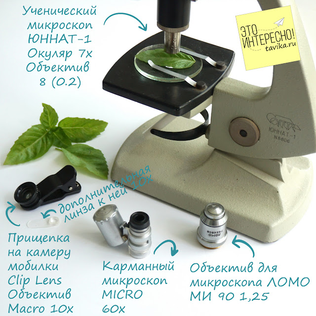 микроскопы для детей
