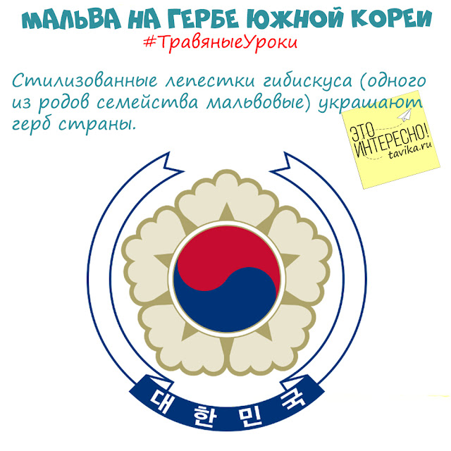 мальва на гербе Южной Кореи