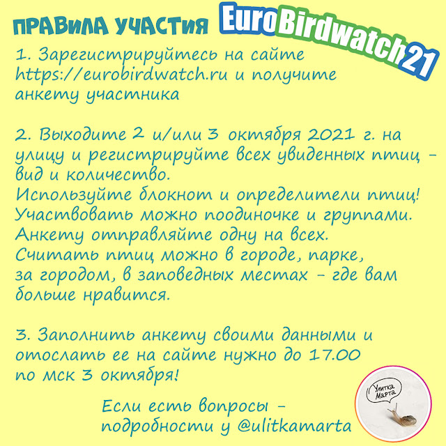 Правила участия в Eurobirdwatch 2021