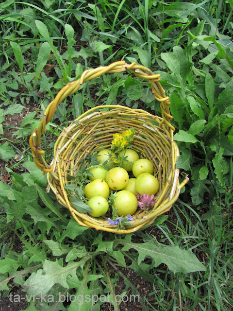 корзинка из ивовых прутьев своими руками