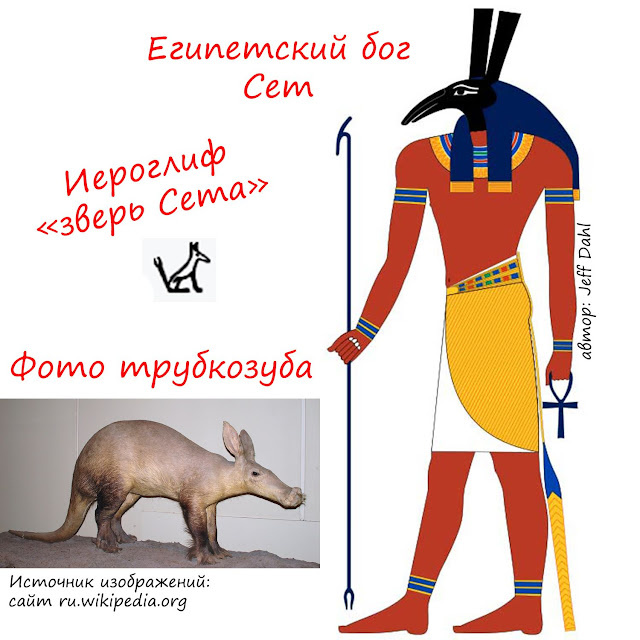 Трубкозуб - бог Сет египетской мифологии
