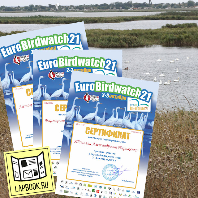 Сертификаты учета птиц  Eurobirdwach 2021