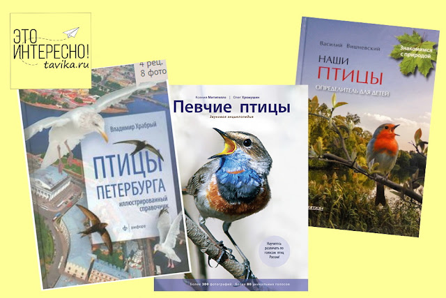 список книг о птицах для бердвотчинга