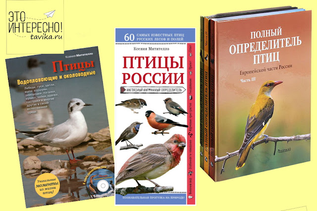 книги о птицах нон-фикшн