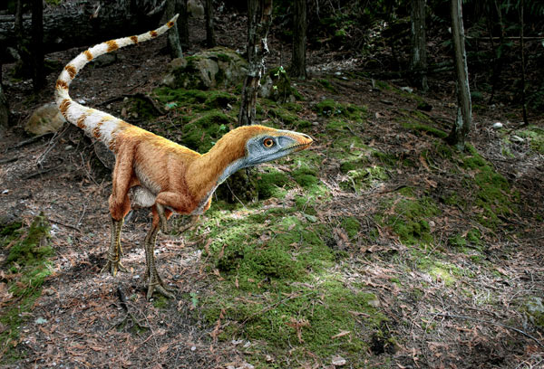 как узнали цвет динозавров