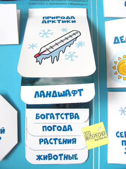Детям об Арктике с помощью лэпбука
