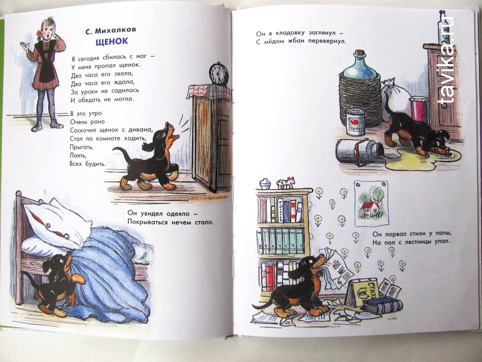детские книги о собаках