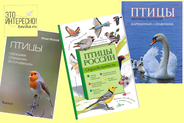 список книг о птицах для юных натуралистов