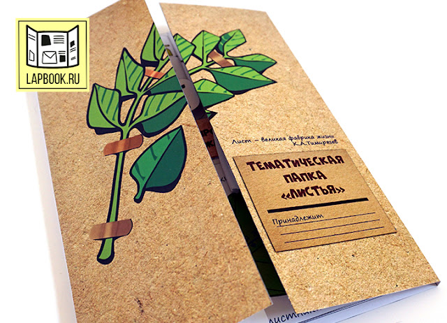 Лэпбук  для юных ботаников “Листья”
