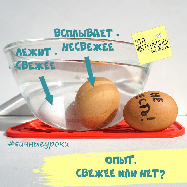 как определить свежесть яйца