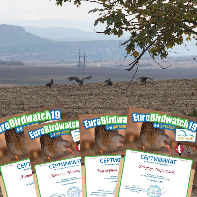 Долгожданные сертификаты за Учет птиц EuroBirdwatch