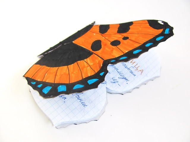 школьный проект о бабочке крапивнице