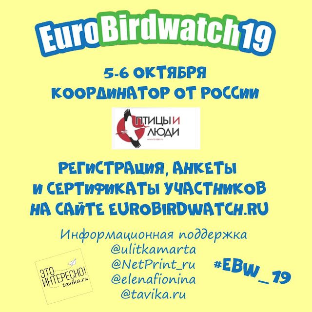 марафон в поддержку EuroBirdwatch 2019