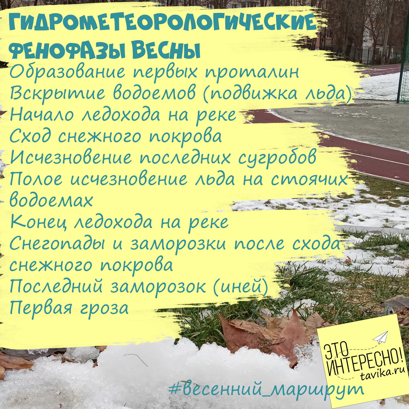 весенние занятия по природоведению для детей