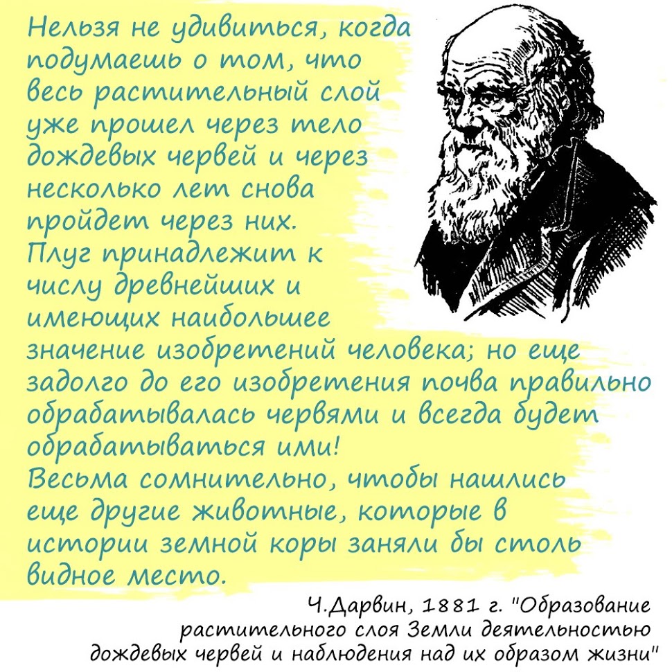 Цитата Дарвина про дождевых червей