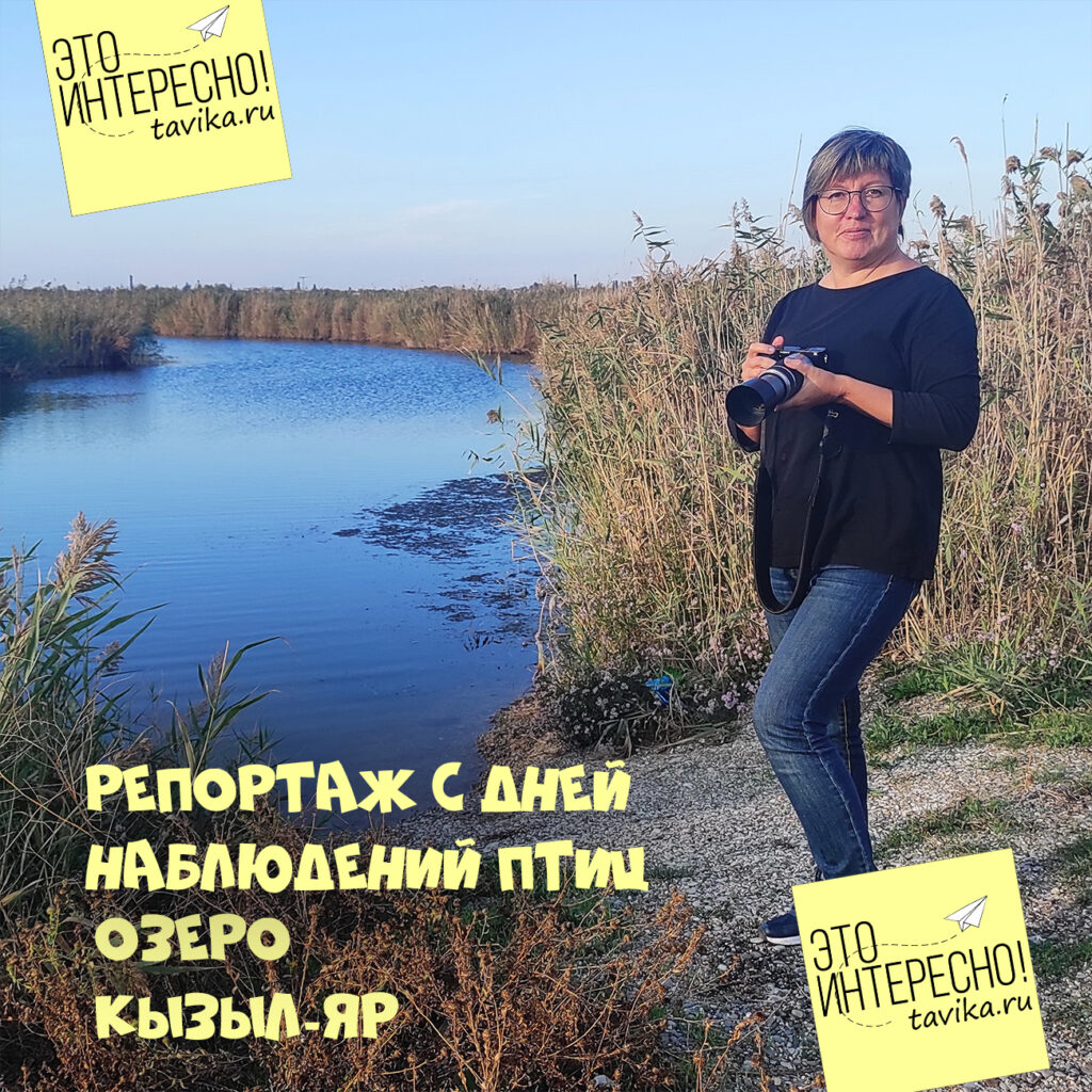 Международные дни наблюдений птиц на озере Кызыл Яр