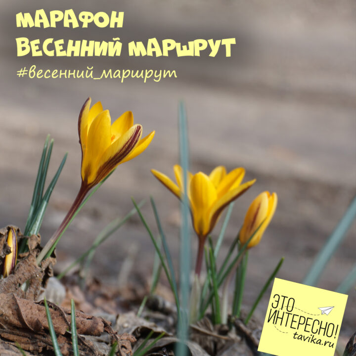 Марафон #весенний_маршрут