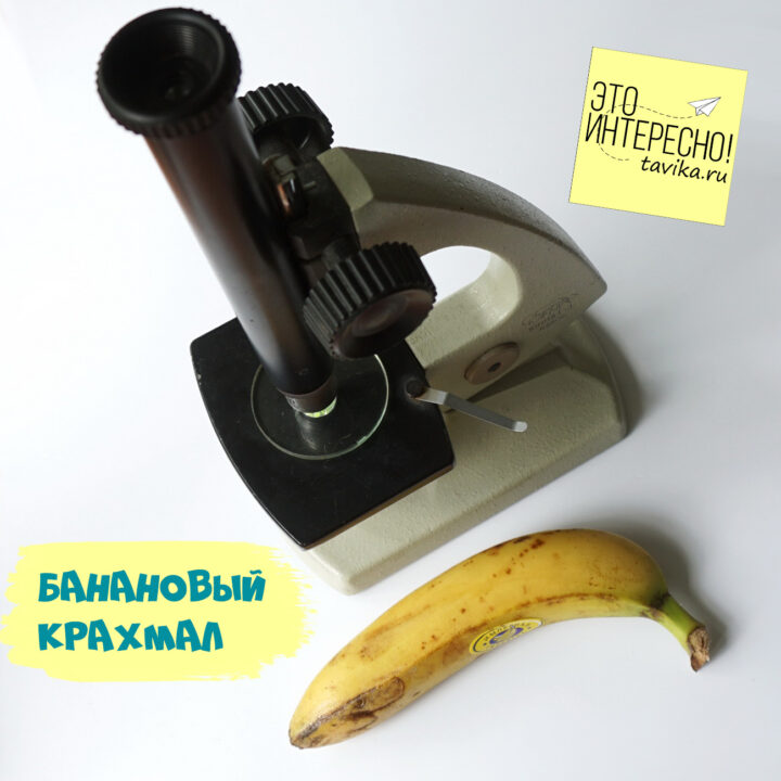 банан под микроскопом