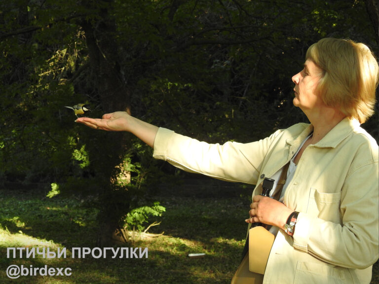 Вечерняя “Птичья прогулка”