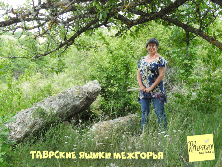 Таврские ящики в Межгорье. Наш новый геокешерский тайник