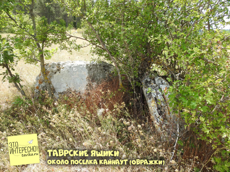 Таврские ящики в Кайнаут (Овражки). Наш новый тайник