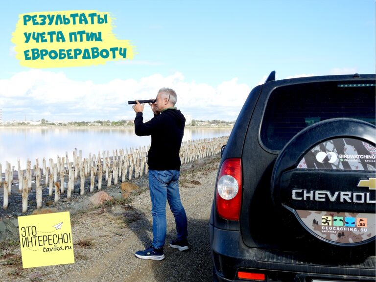Итоги Дней наблюдений и Евробердвотч